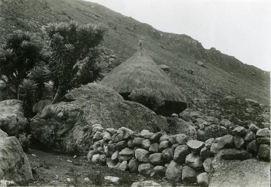 Mamancanaca
