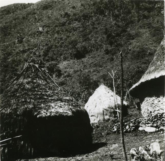 Tanzhütte, Hochzeitshütten, Versammlungshaus der Frauen in der Südlichen Paramos