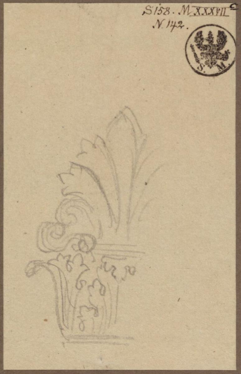 Ornament. Blattkelch mit Palmette