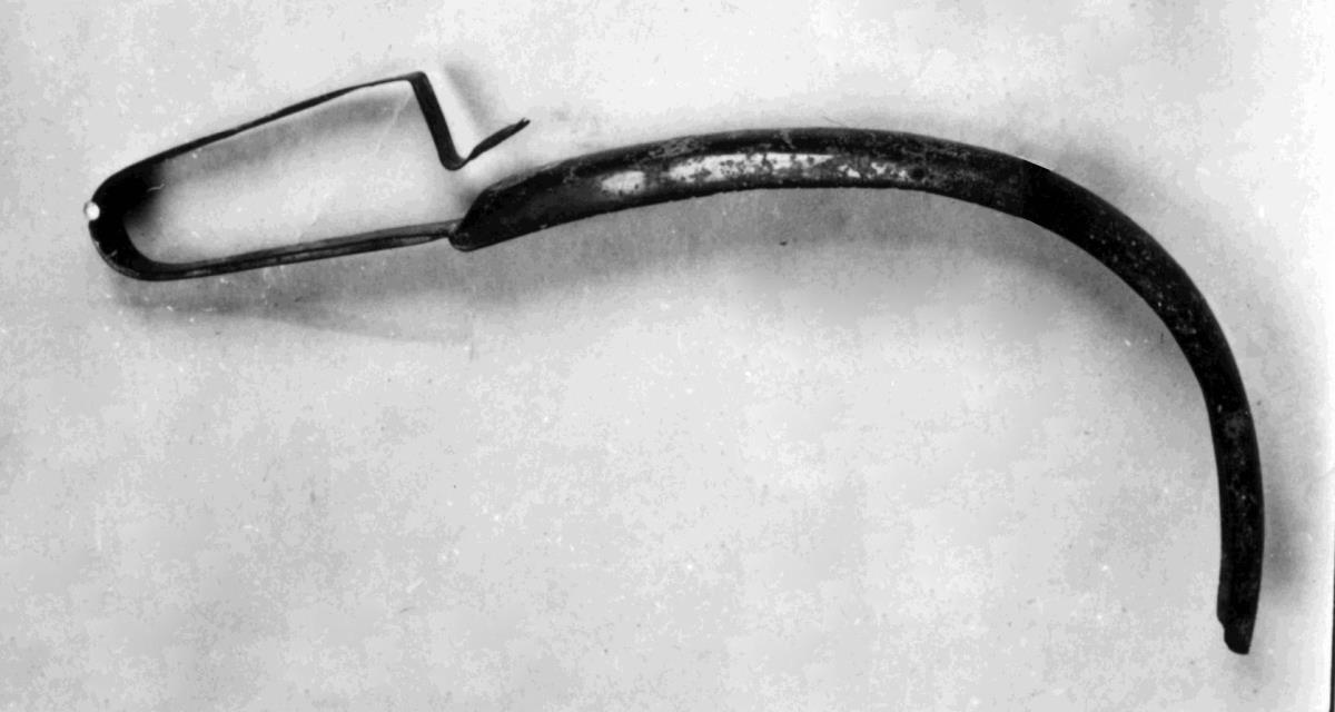 Strigilis