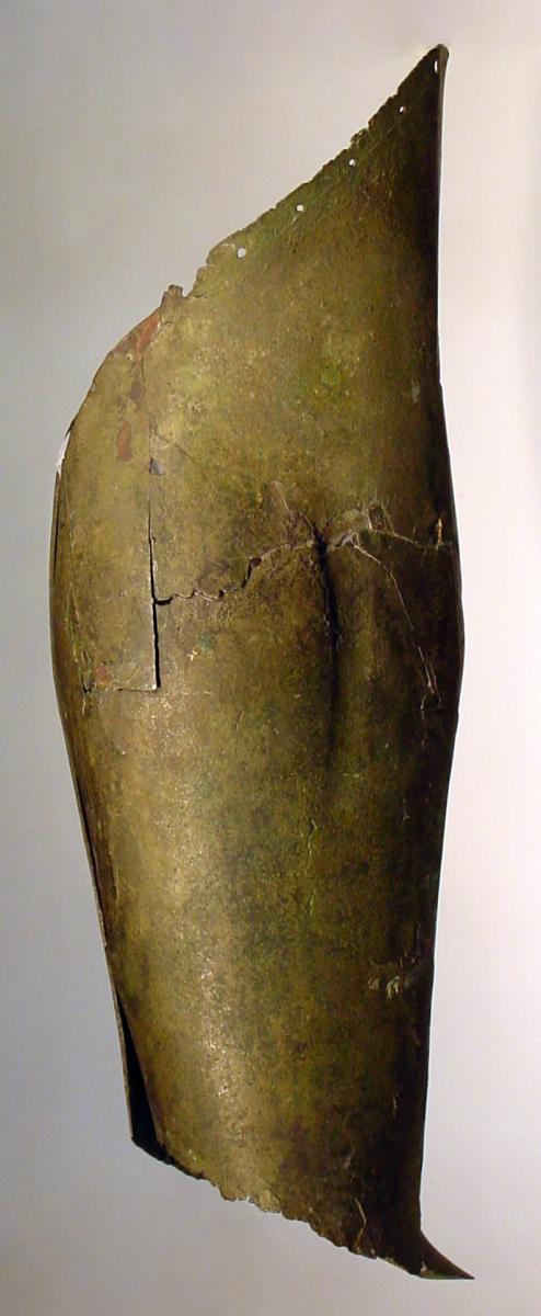 Beinschiene