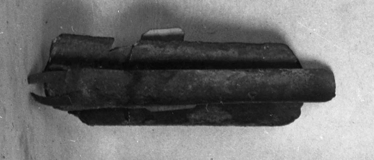 Strigilis