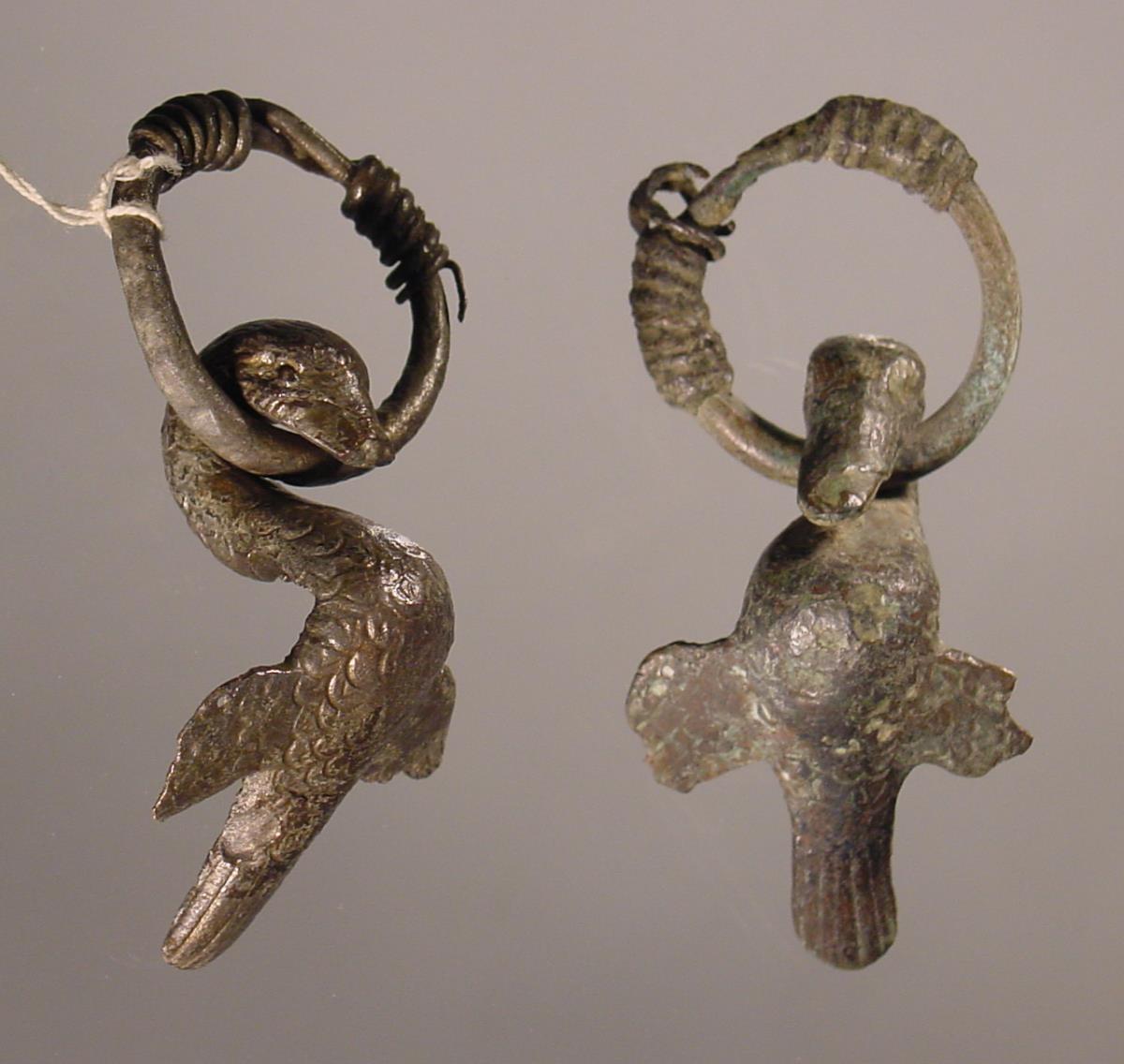 Ente mit Ring