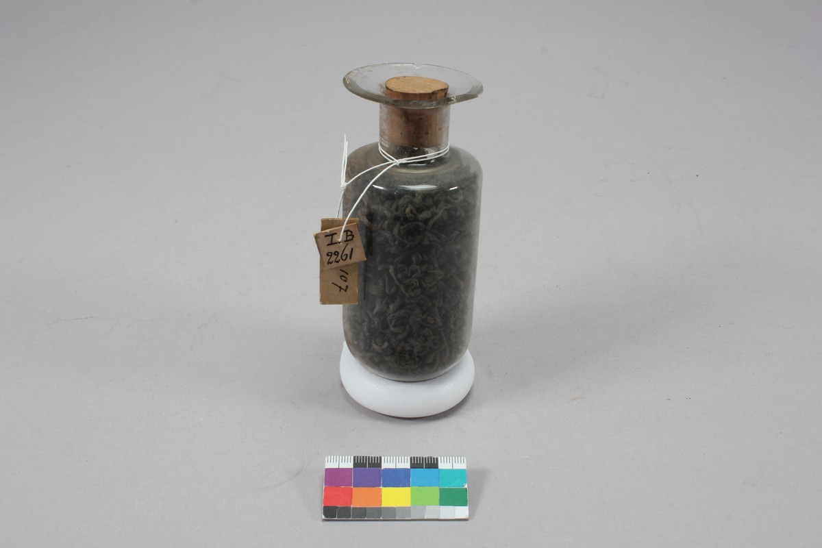 I B 2261
