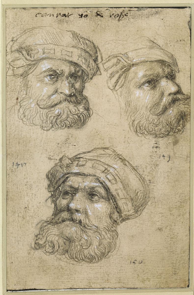 Kunz von der Rosen, Hofnarr des Kaisers Maximilians I. (drei Kopfstudien)