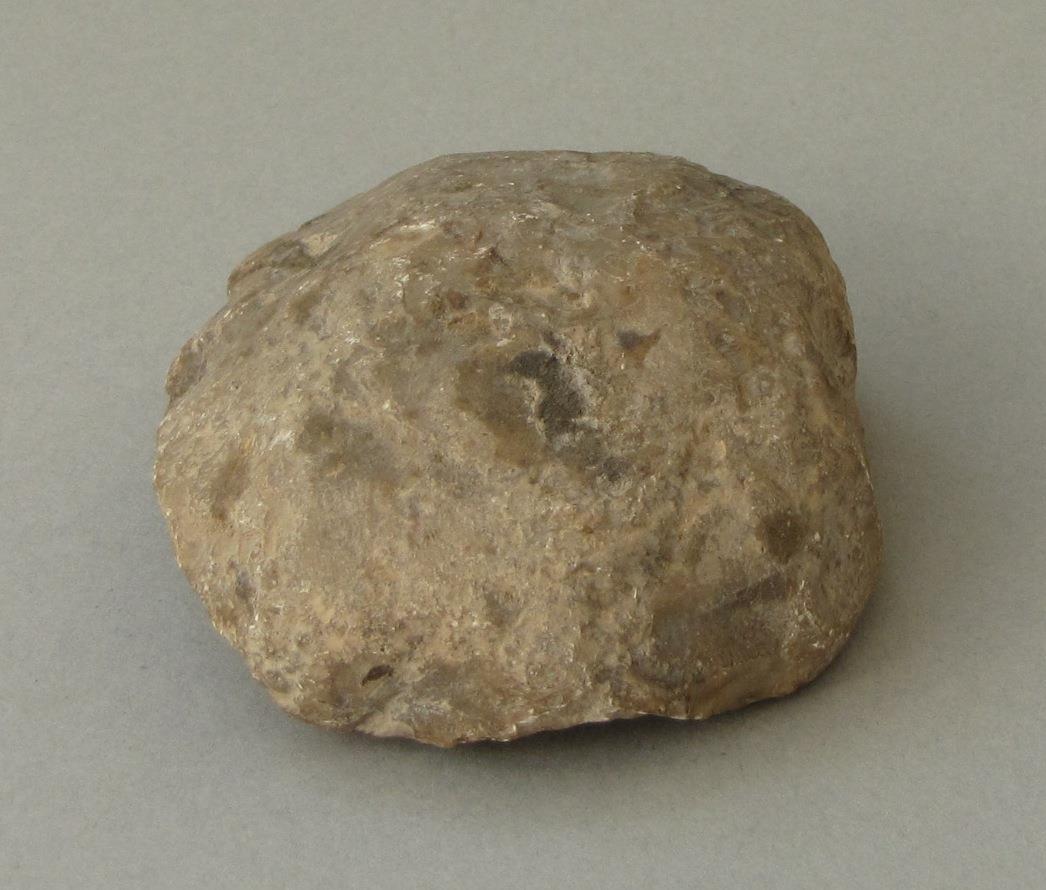 IV Ca 1531