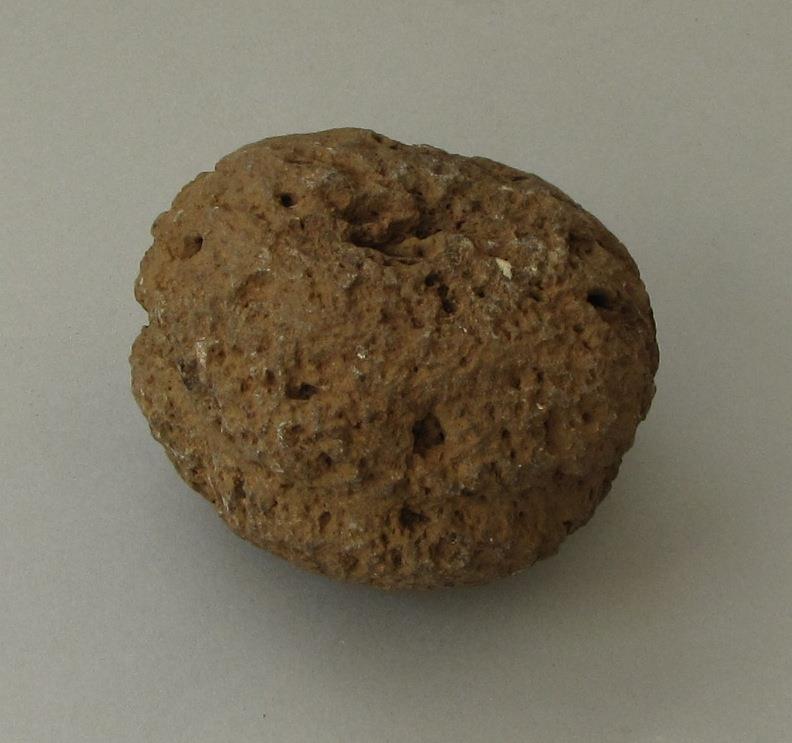 IV Ca 6884