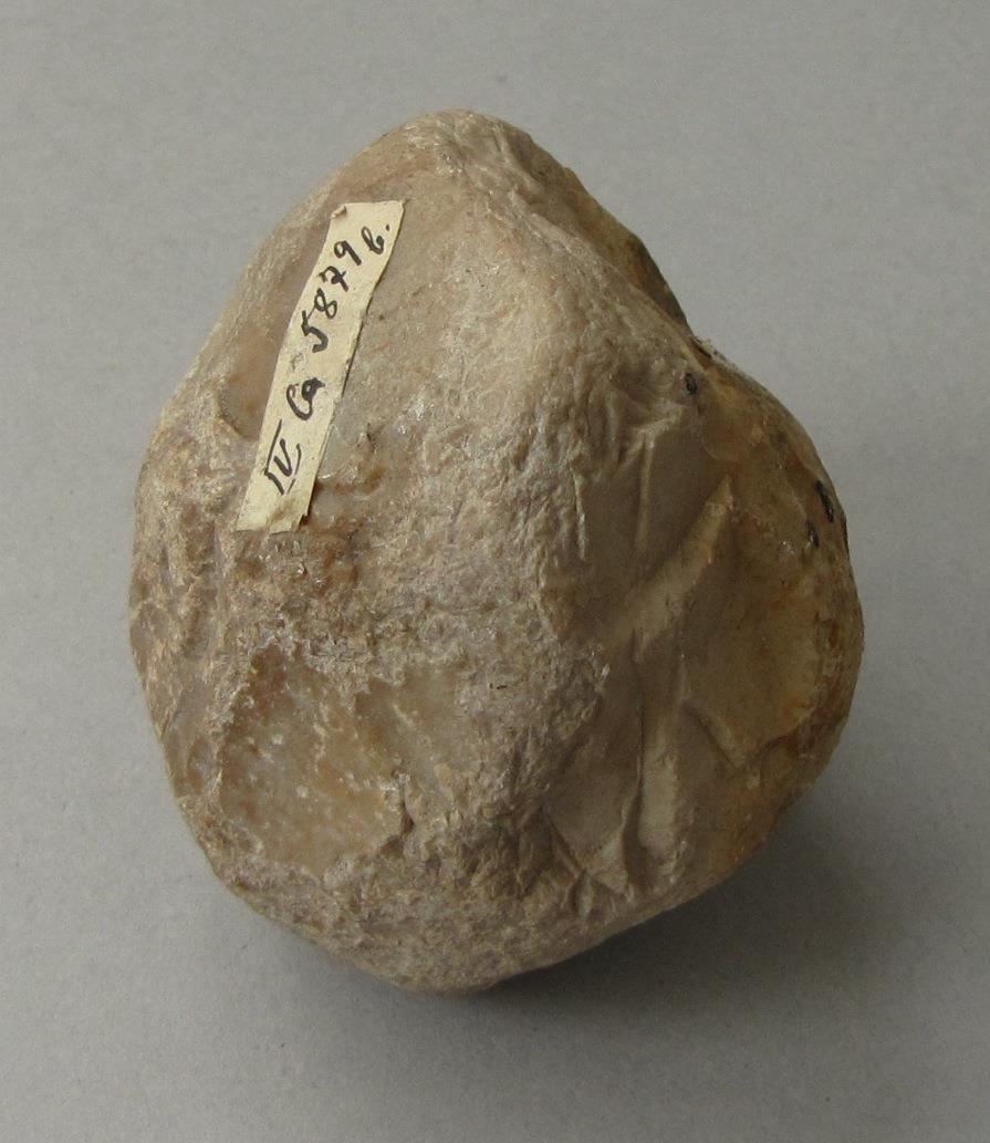 IV Ca 5879 b