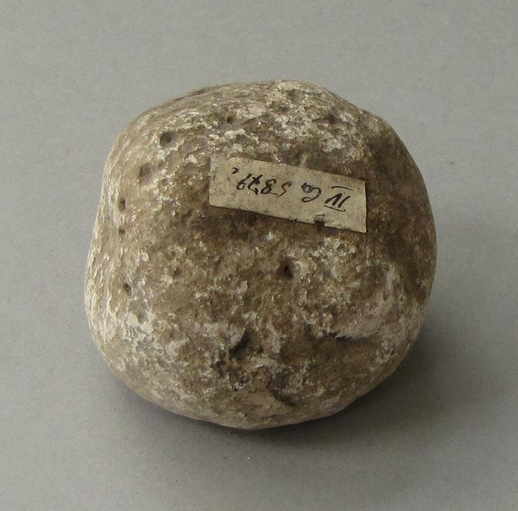 IV Ca 5879 i