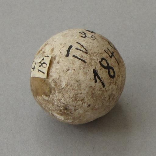 IV Ca 18497 a
