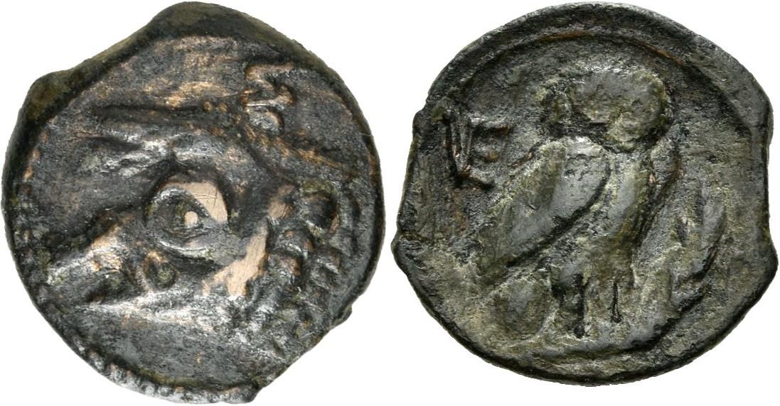 Venusia