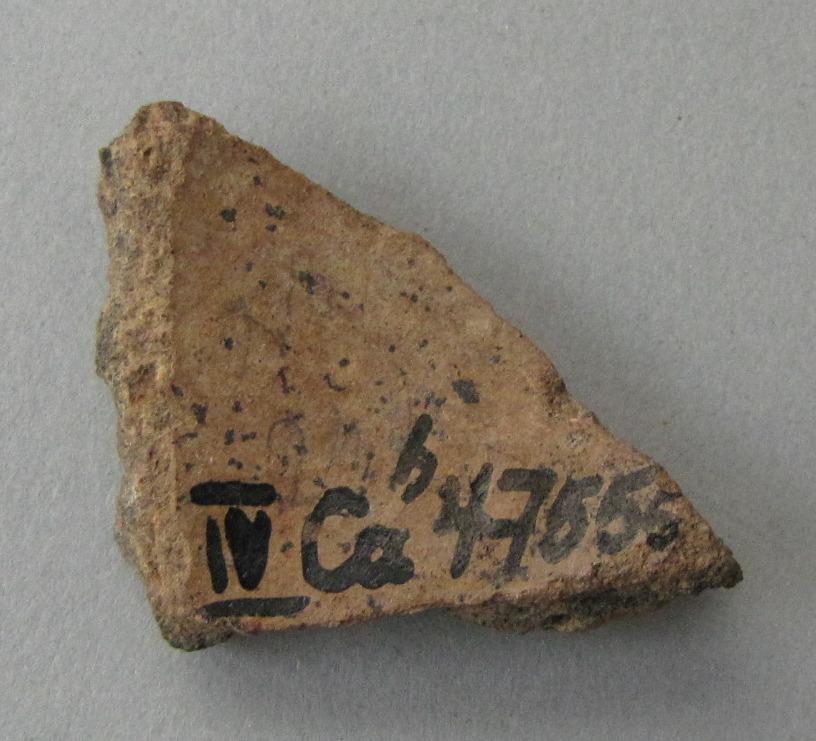 IV Ca 47555 b