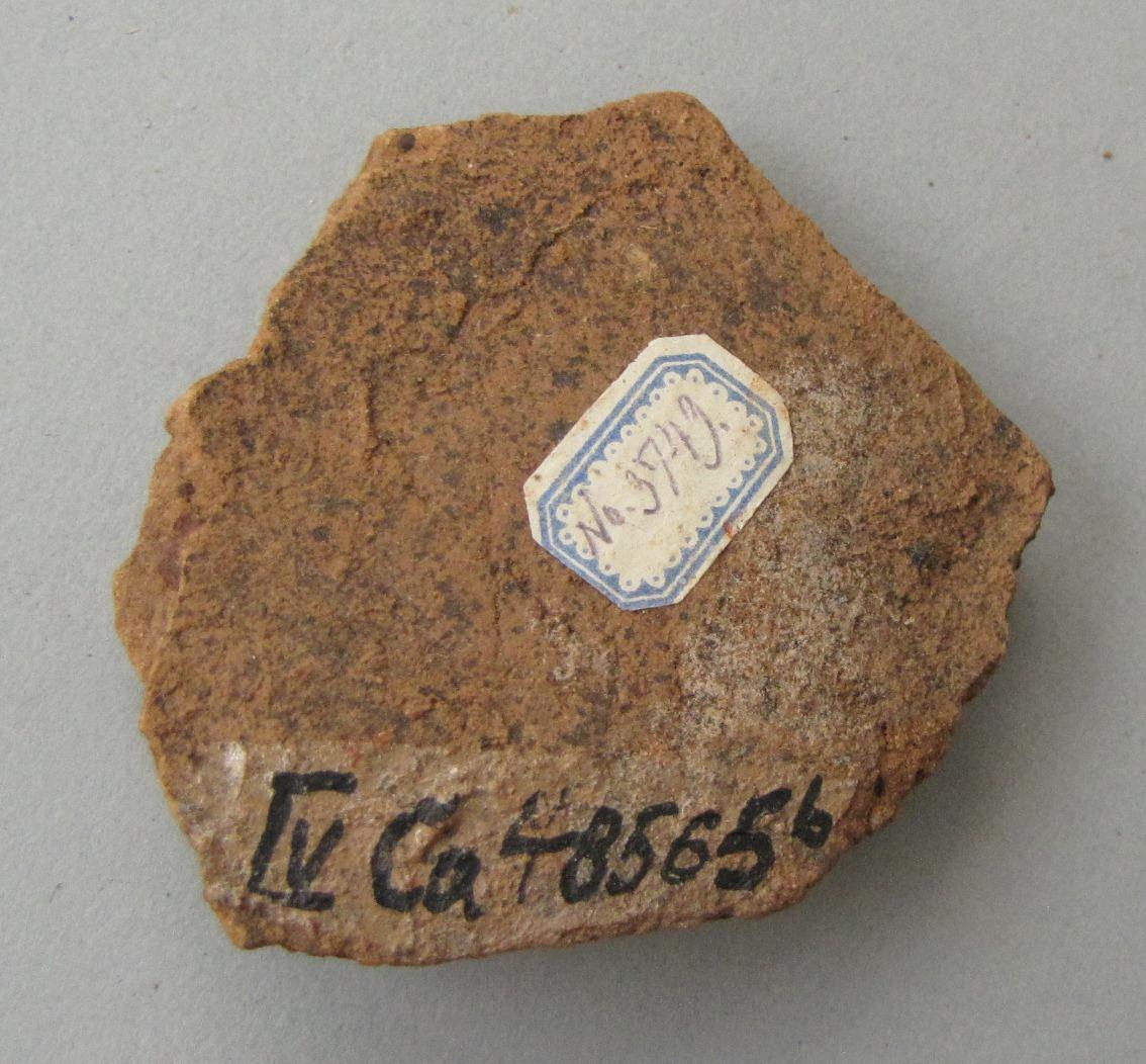 IV Ca 48565 b
