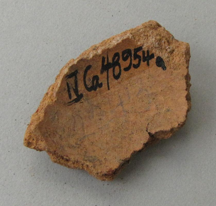 IV Ca 48954 a