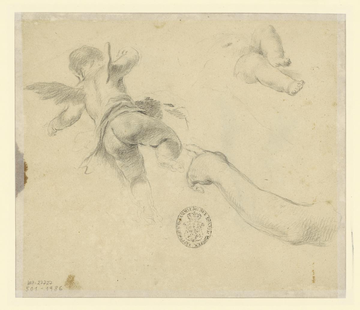 Studienblatt: fliegender Putto von unten gesehen, Beine eines Putto, Arm