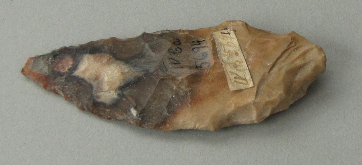 IV Ca 5694