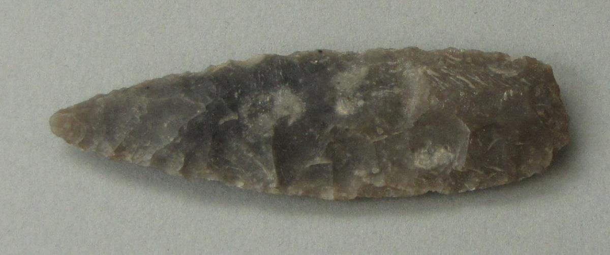 IV Ca 5695
