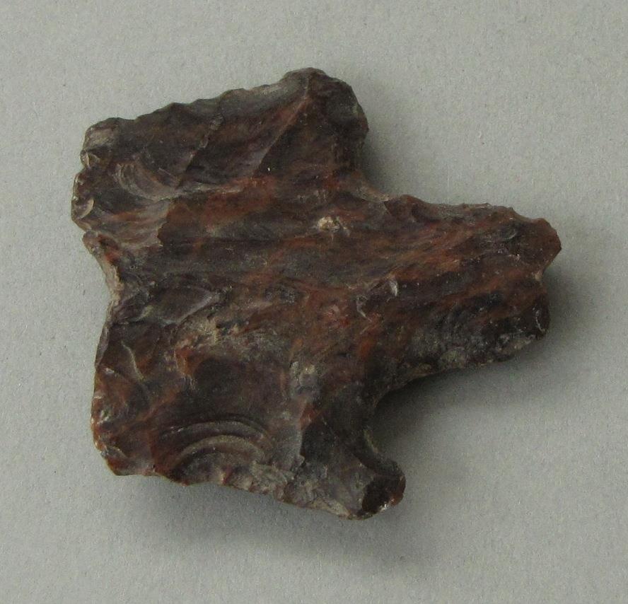 IV Ca 8685