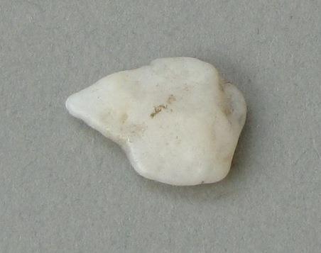 IV Ca 1081 d