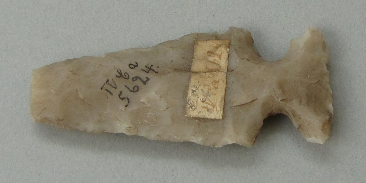 IV Ca 5624
