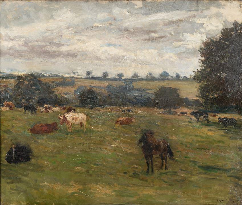 Weide mit Kühen und Pony
