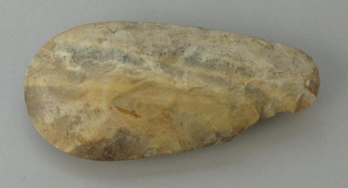 IV Ca 5788