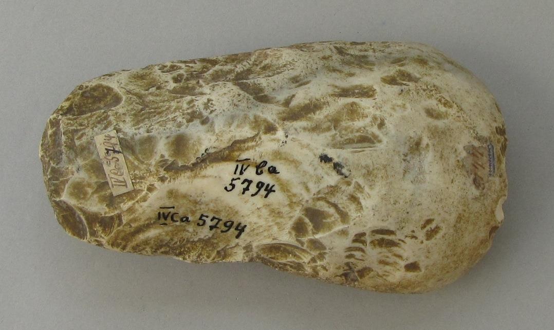 IV Ca 5794
