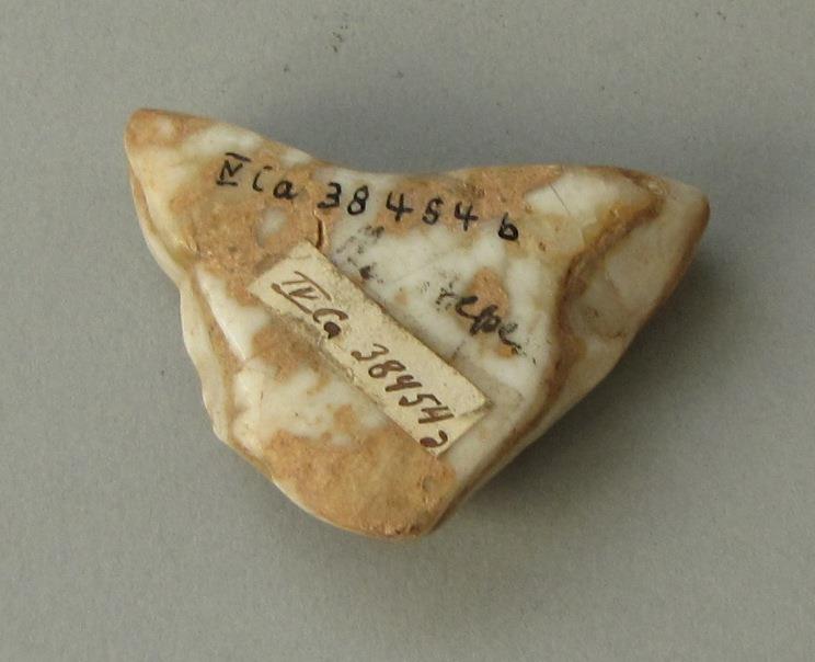 IV Ca 38454 b