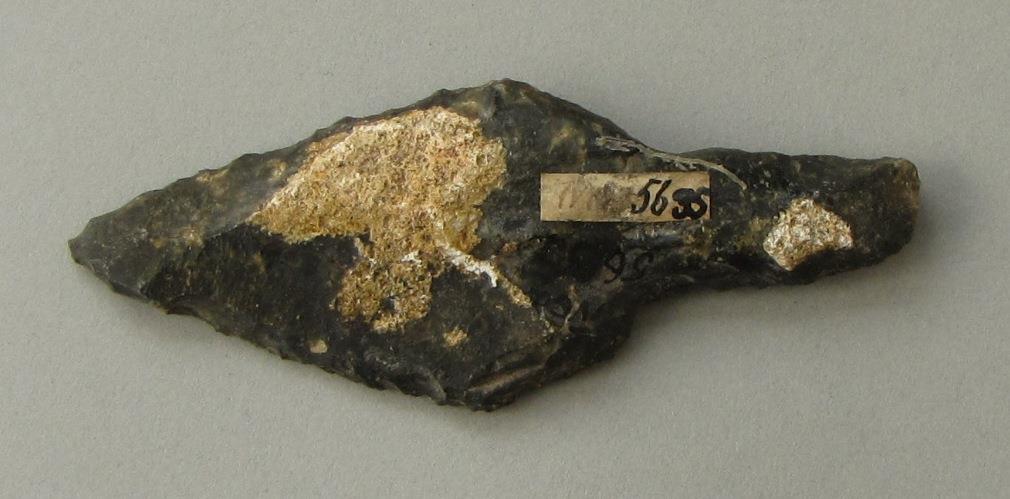 IV Ca 5635