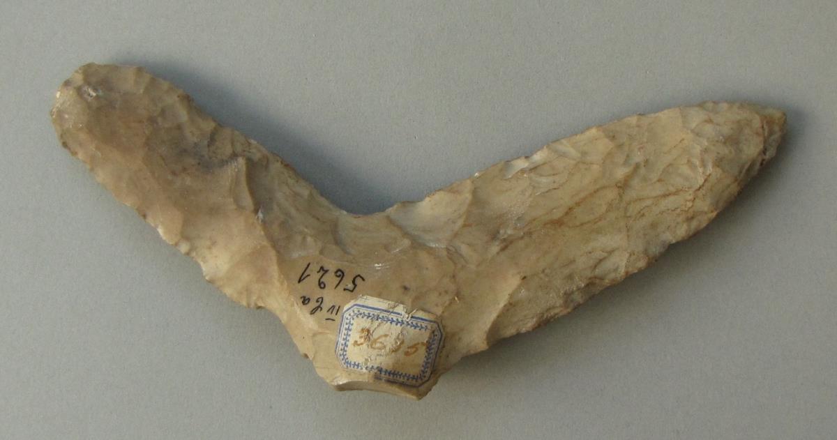 IV Ca 5621