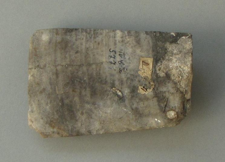 IV Ca 5771