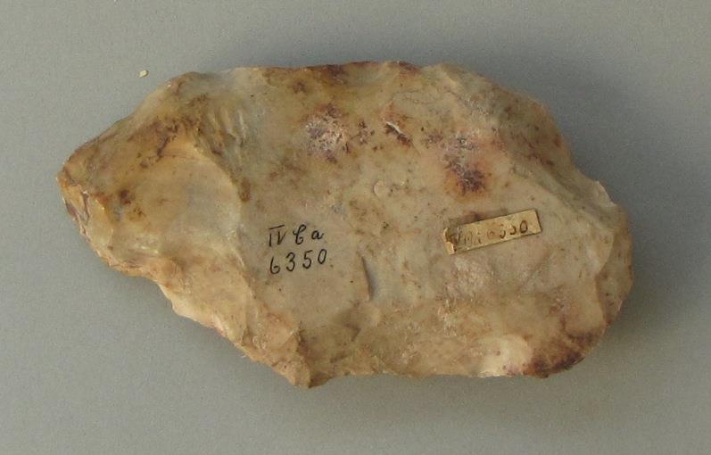 IV Ca 6350