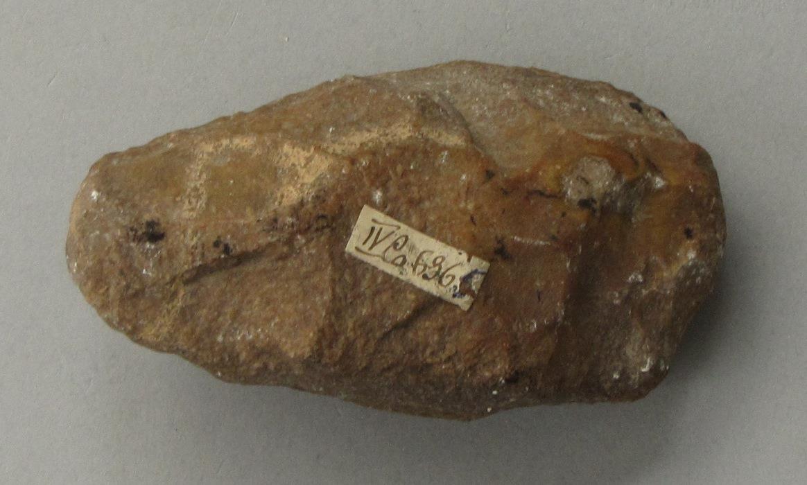 IV Ca 6365
