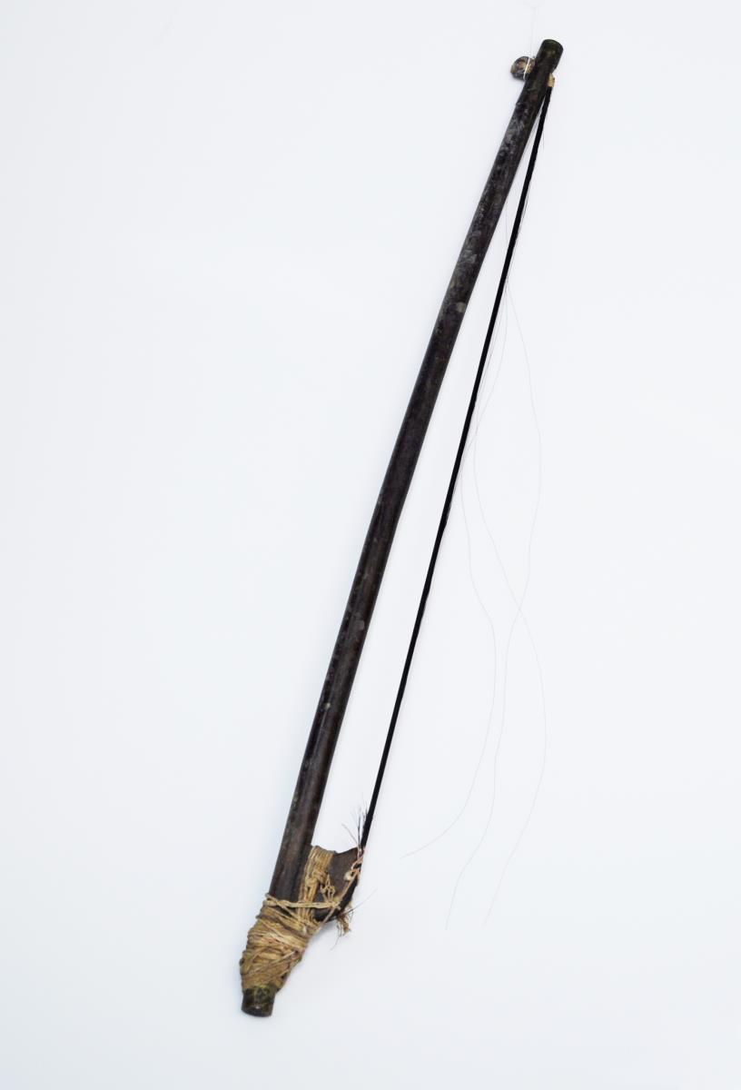 VII b 258