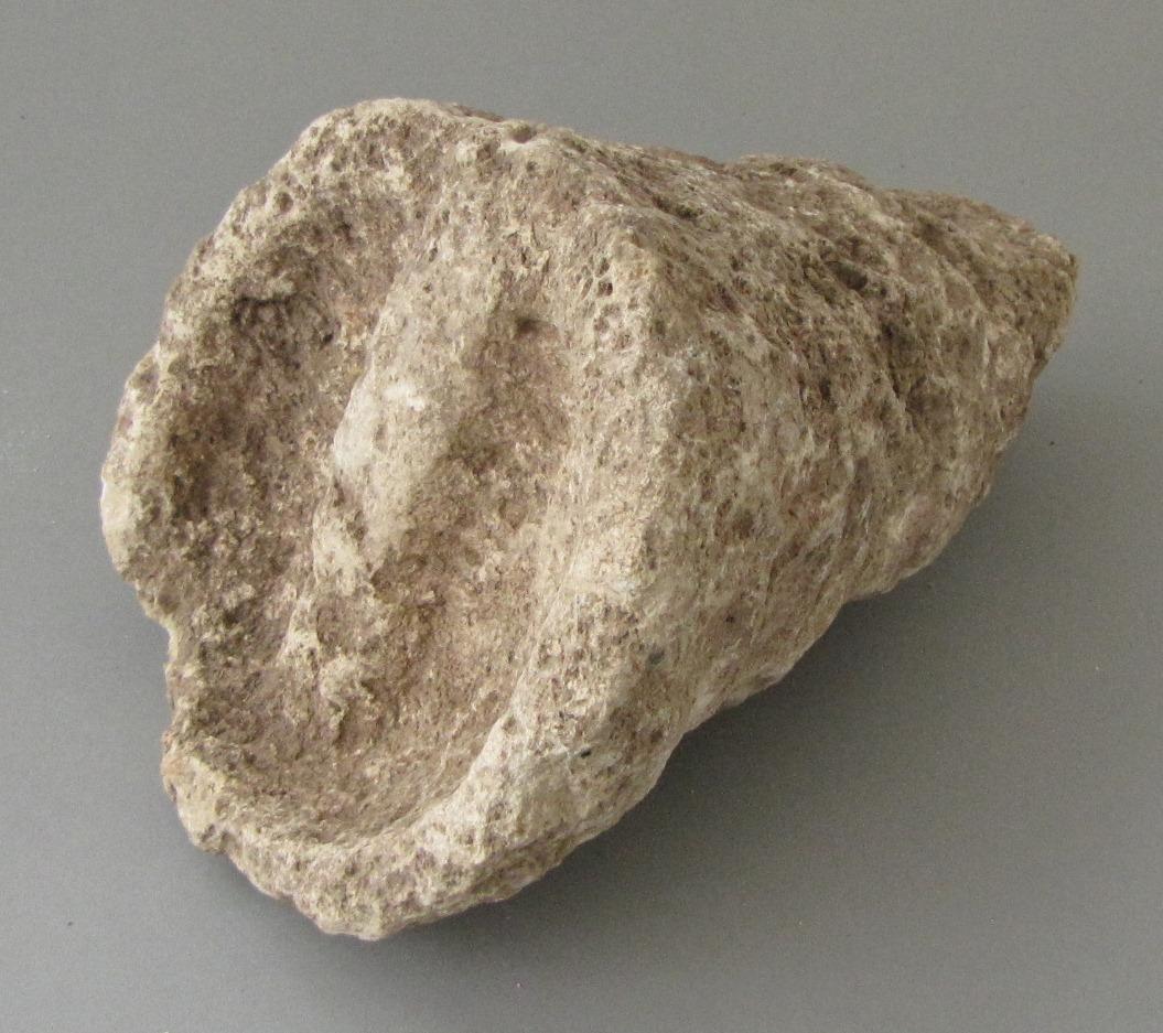 IV Ca 32506 b