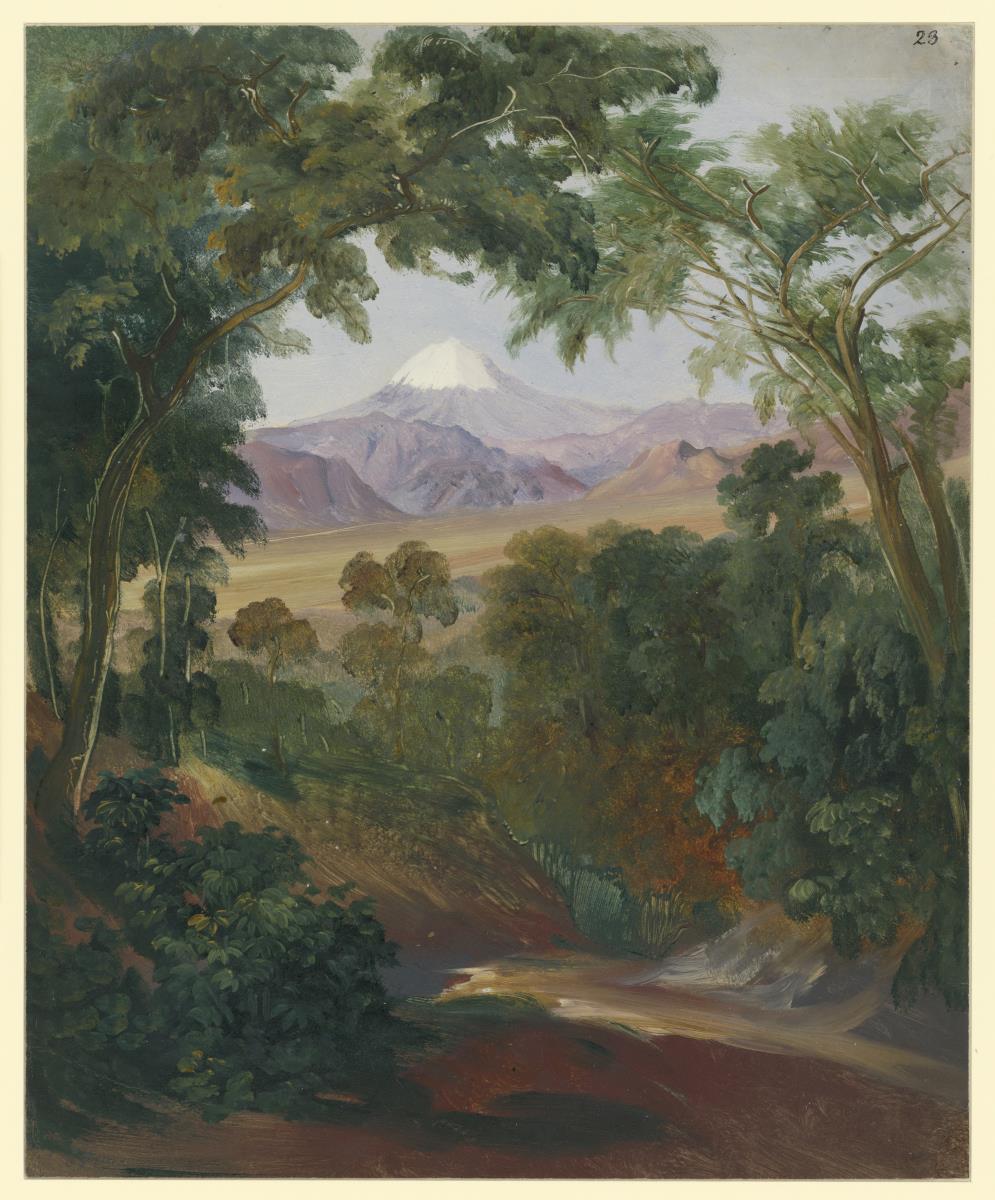 Blick auf den Pico de Orizaba bei Cuantepec (Coatopec)