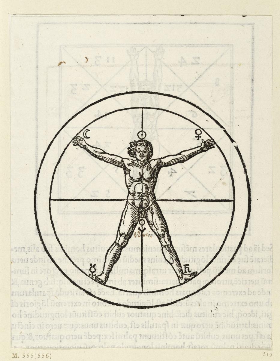 Nackter Mann mit sechs Himmelszeichen an der Figur