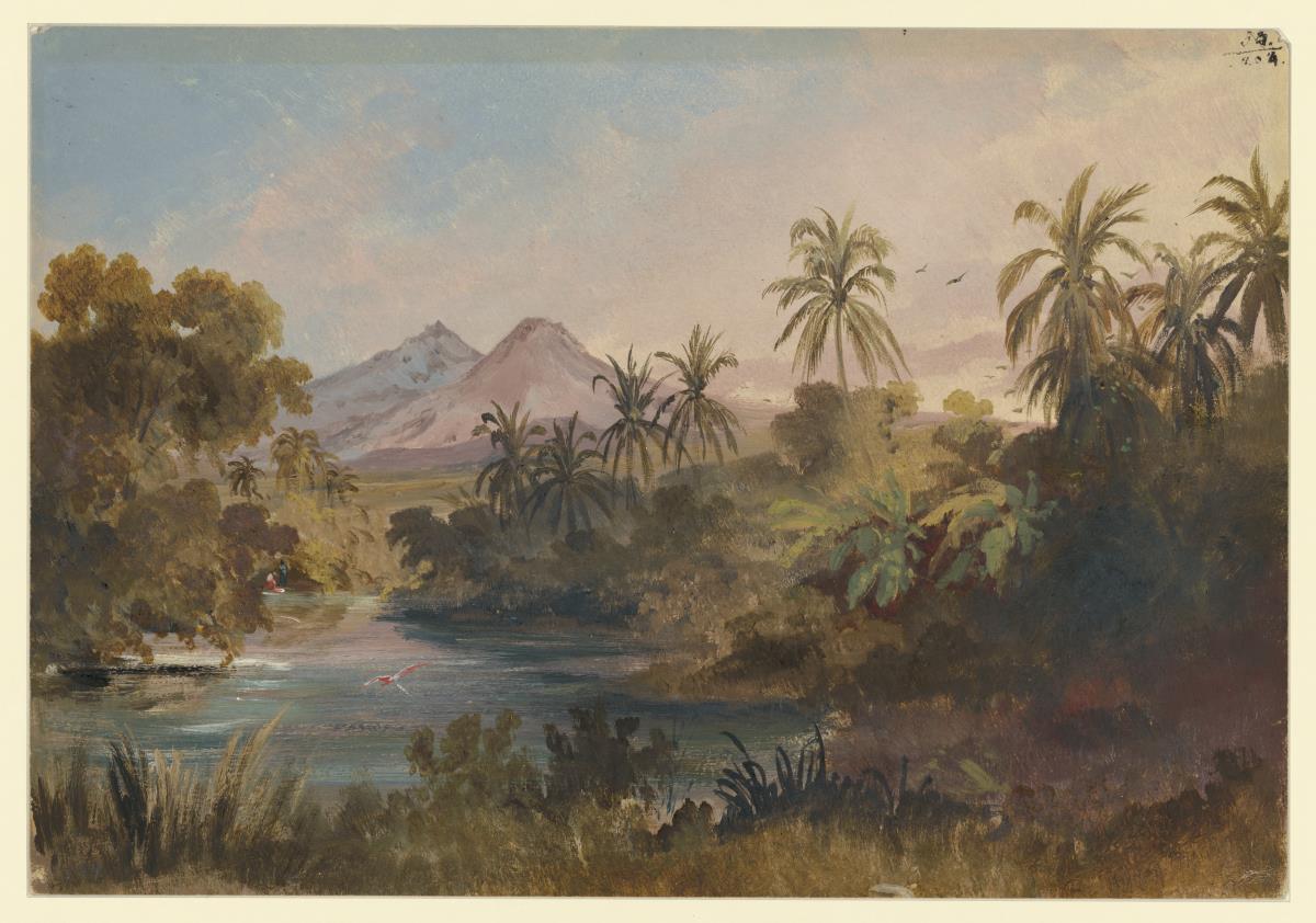 Landschaft am Abhang des Vulkans Colima