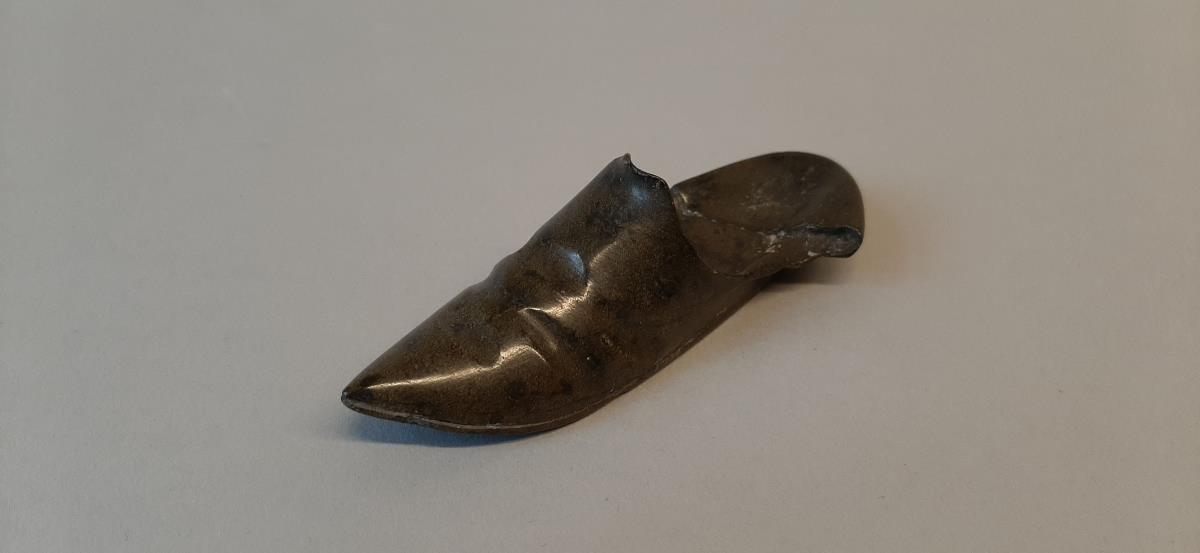 Kleiner Schlappschuh