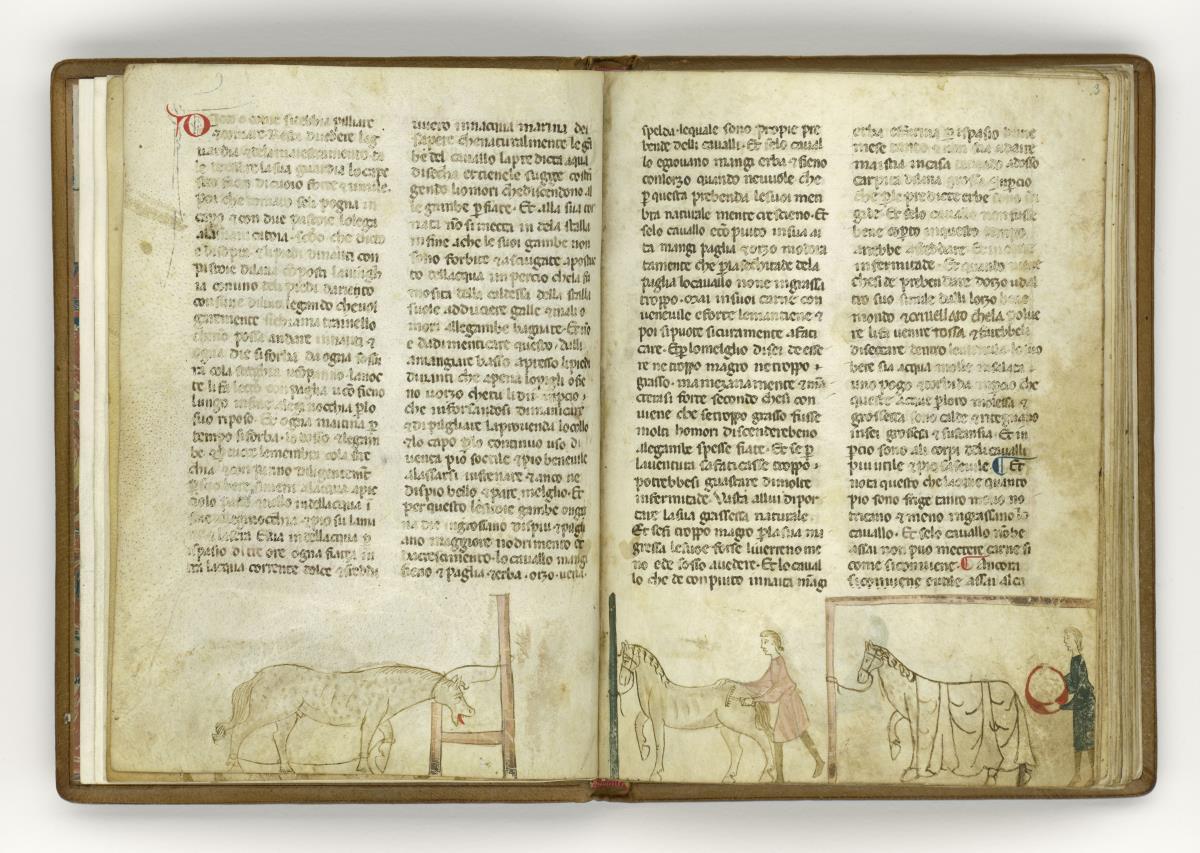 Giordano Rosso, Libro delle Mariscalcie dei cavalli. Gefesseltes Pferd an der Krippe
