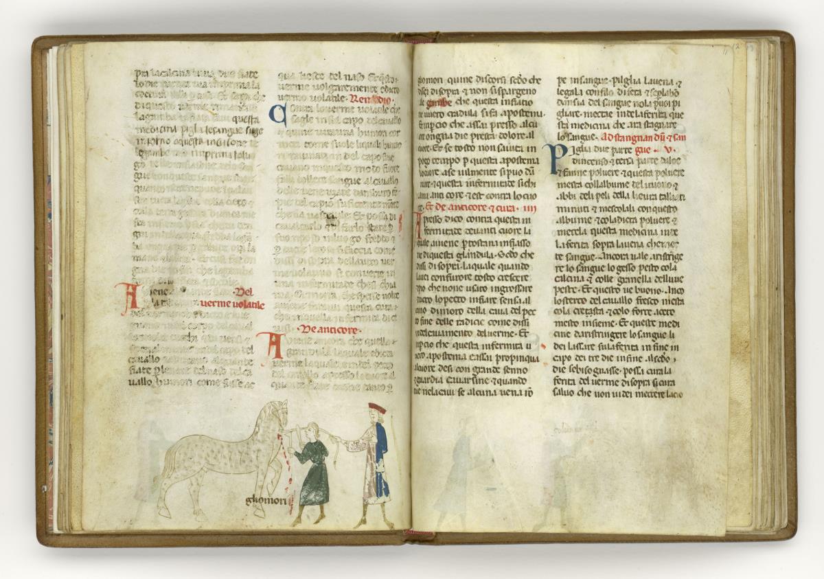 Giordano Rosso, Libro delle Mariscalcie dei cavalli.