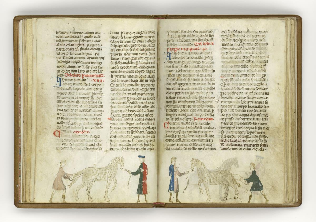 Giordano Rosso, Libro delle Mariscalcie dei cavalli. Das Pferd erhält ein Klistier