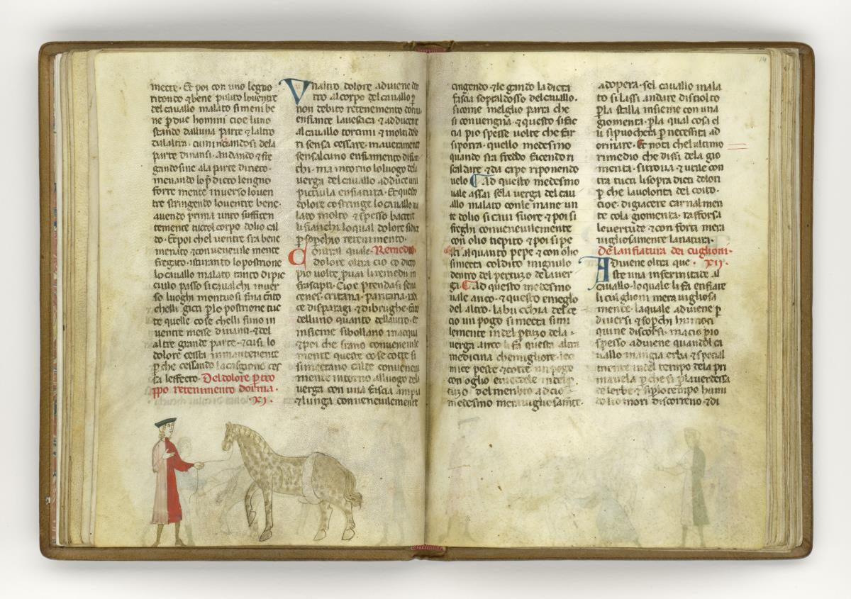 Giordano Rosso, Libro delle Mariscalcie dei cavalli. Pferd mit einer Leibbinde