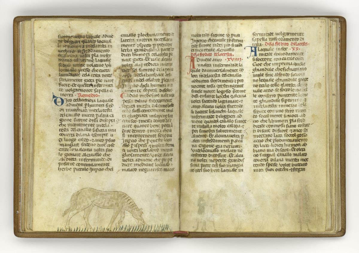 Giordano Rosso, Libro delle Mariscalcie dei cavalli. Pferd auf der Weide