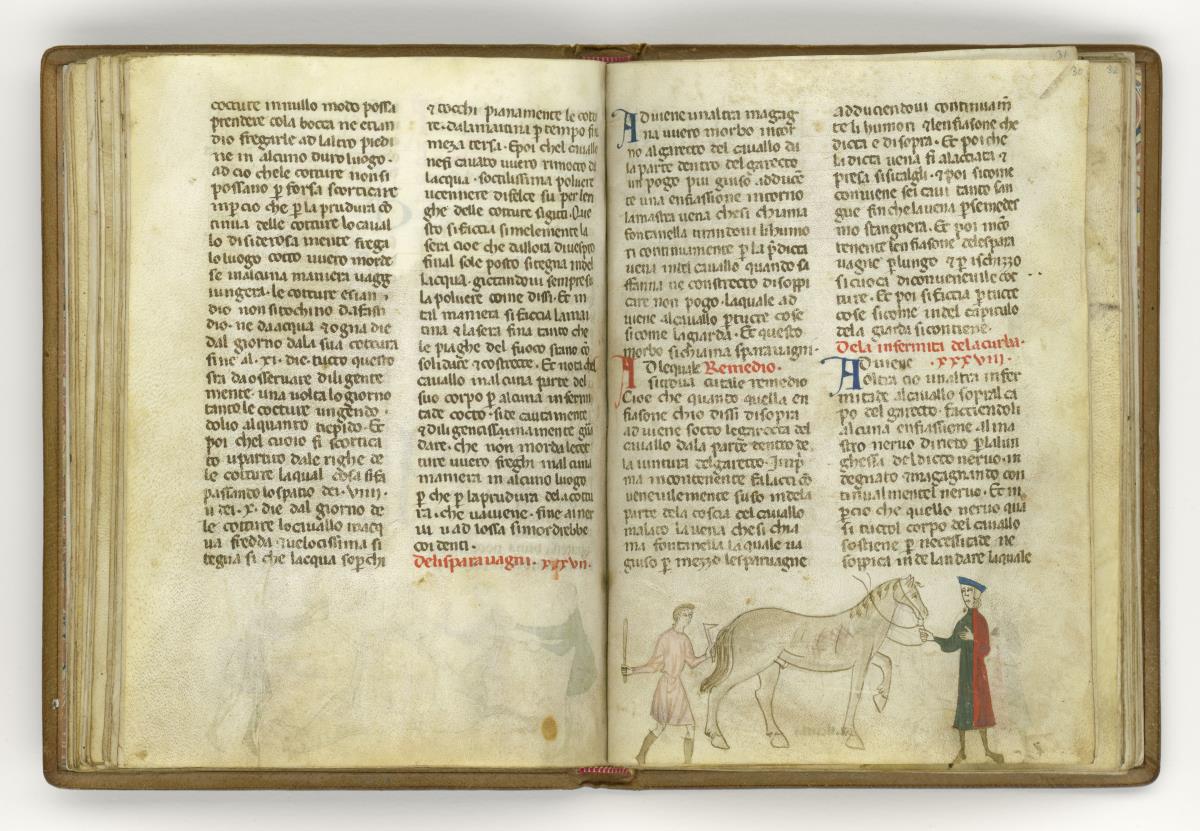 Giordano Rosso, Libro delle Mariscalcie dei cavalli.