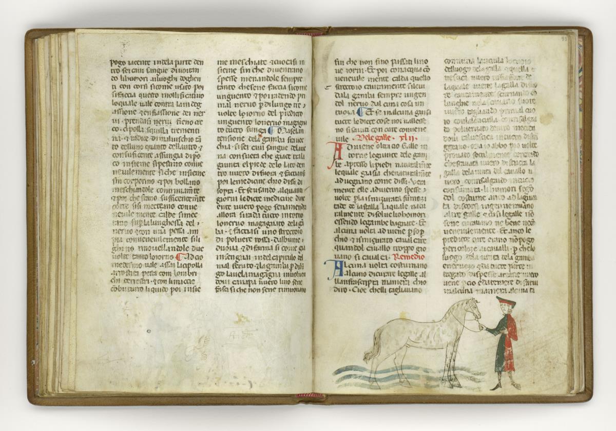 Giordano Rosso, Libro delle Mariscalcie dei cavalli.