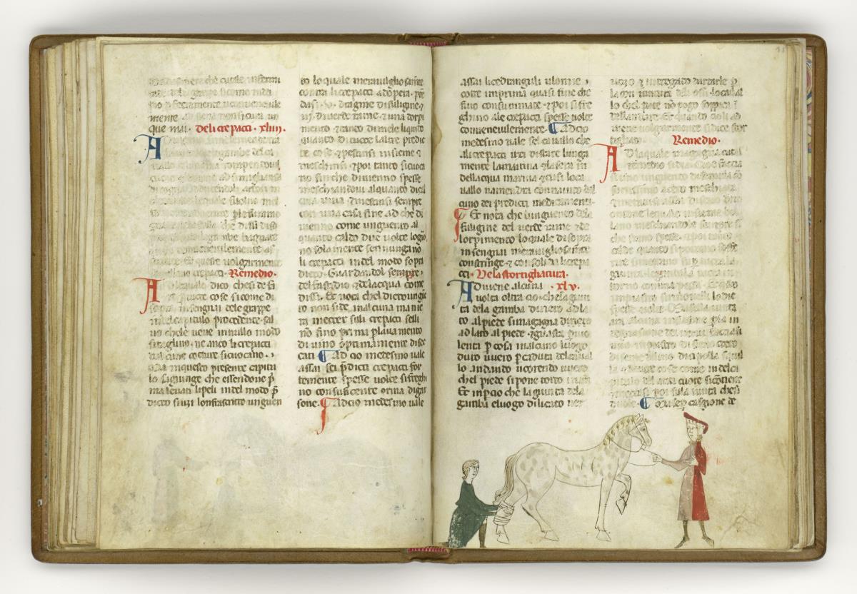 Giordano Rosso, Libro delle Mariscalcie dei cavalli.