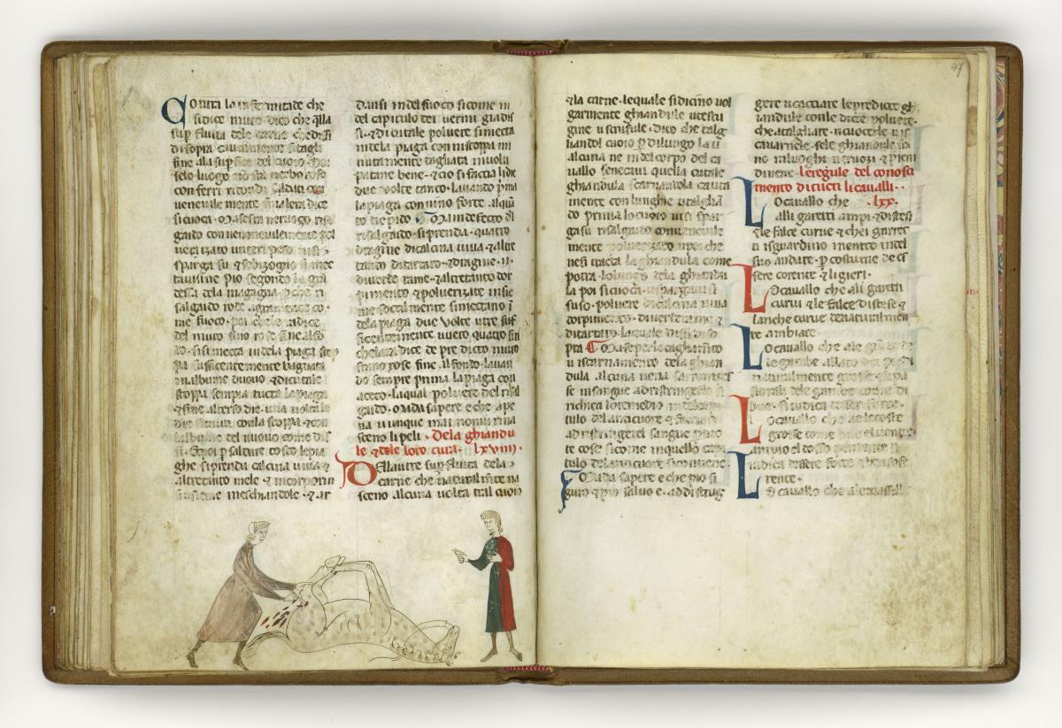 Giordano Rosso, Libro delle Mariscalcie dei cavalli.