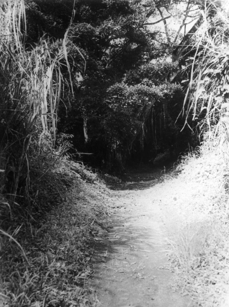 Weg zwischen Bolahun + Kolahun.