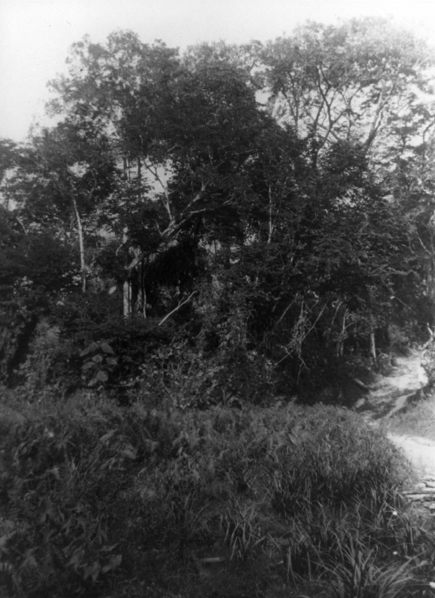 Straße bei Kolahun-Fangalahun